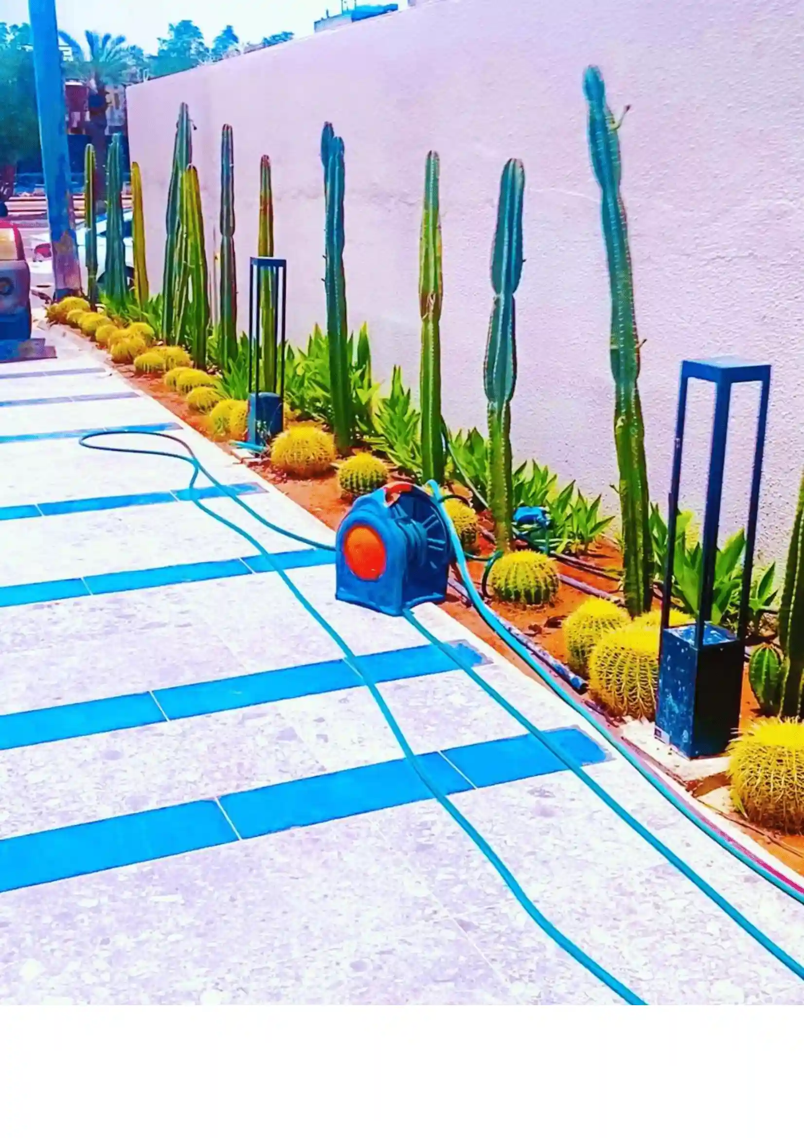 Landscaping Project 2